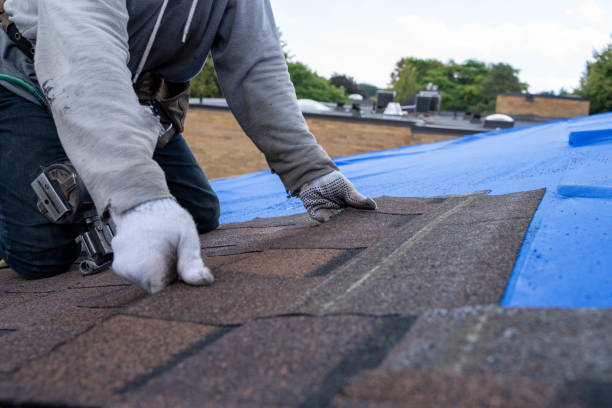 Best Flat Roof Repair Services  in Serenada, TX