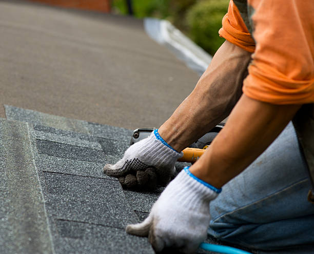 Best Local Roofing Companies  in Serenada, TX