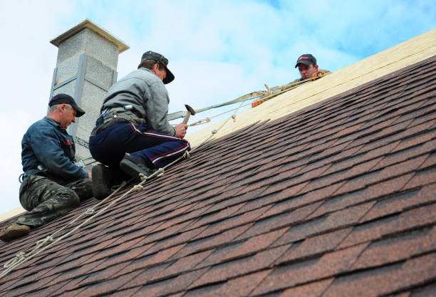 Quick and Trustworthy Emergency Roof Repair Services in Serenada, TX